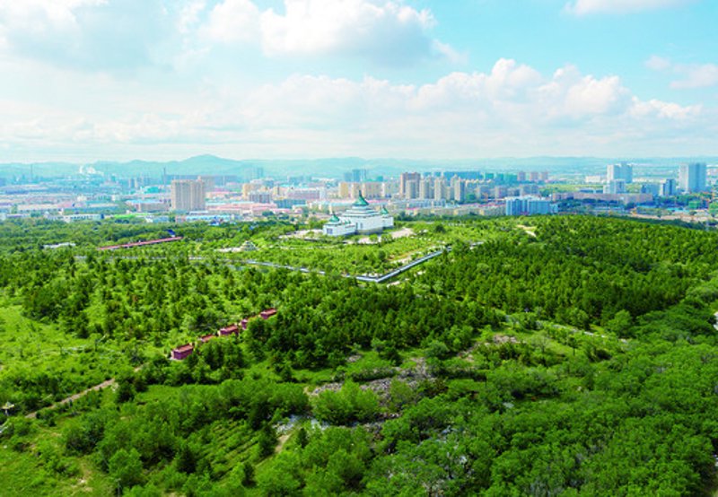 添保绿官网：为何选择这家保险公司